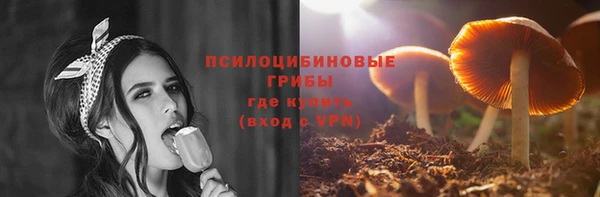 тгк Абинск