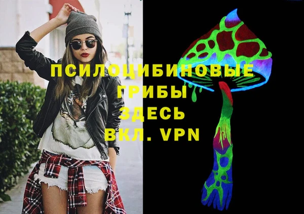 тгк Абинск