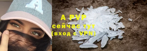 тгк Абинск