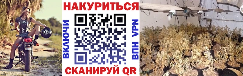 Бошки марихуана Bruce Banner  Тбилисская 